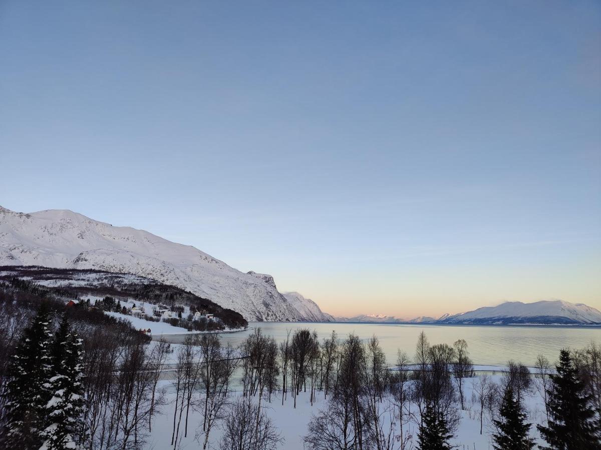 House In The Heart Of The Lyngen Alps With Best View Villa Lyngseidet Екстериор снимка